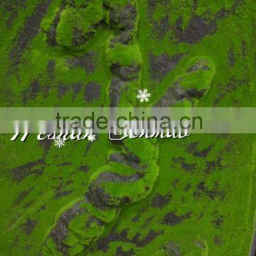 Fire proof selling artificial moss turf / simulation moss carpet in factory price