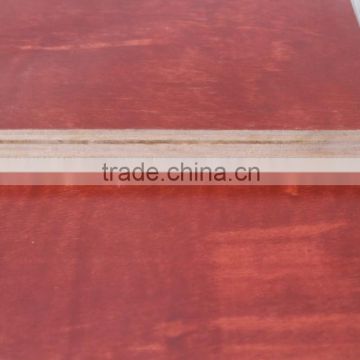 1830x915 paint faced building template of eucalyptus plywood for construction