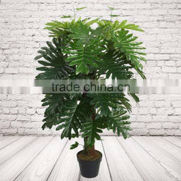 Office Decorative Artificial Taro Bonsai, Plastic Evegreen Plants