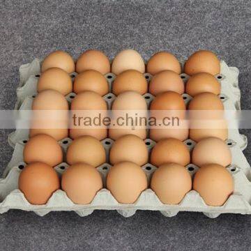 Paper Pulp Egg Tray UNI (With Hole)