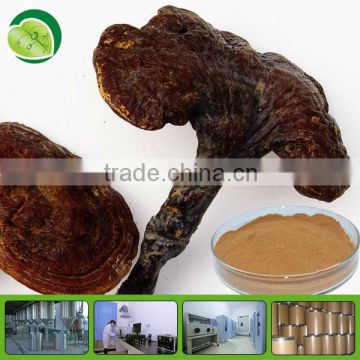 organic reishi mushroom extract powder