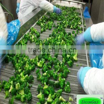 Best Price IQF Frozen Broccoli photo-2