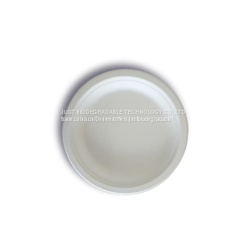 JUST Disposable Biodegradable Party Plate6''