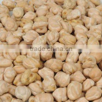 Chickpeas photo-2