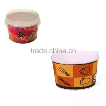 Paper Ice Cream Cup with Lid