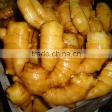 2016 new crop HACCP Chinese organic fresh ginger