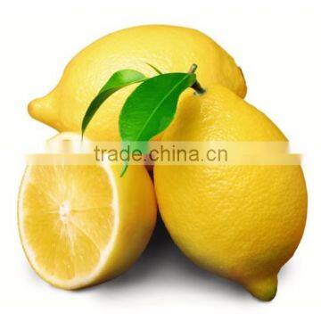 fresh Lemon ( Adalia - Verna - green lime )