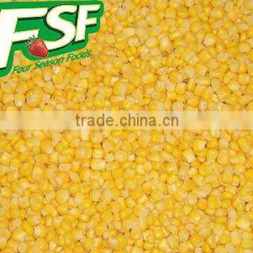 IQF sweet corn kernels