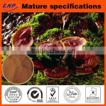 Buy Natural 10% HPLC Polysaccharides Reishi Mushroom Extract Powder