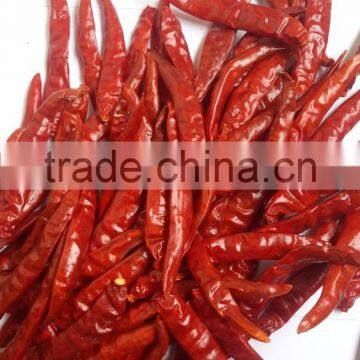 Exporters of Indian Hot Teja Chilli Premium Grade