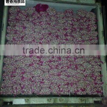 China New Crop Dried White Garlic photo-5