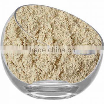 Dehydrated Garlic Powder