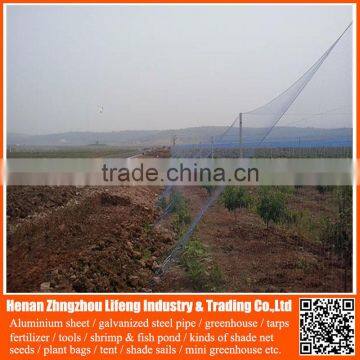 best selling nylon fruit anti bird protective net , hdpe uv wire mesh bird capture net , pe plastic fence bird protection net
