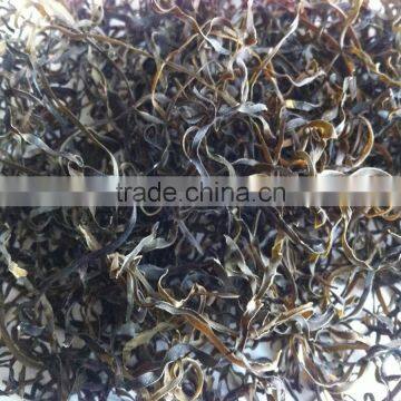 2015 Natural Thermal Sun Dried Kelp Cut,shredded Laminaria,seaweed Strips Salad,sliced Seaweed
