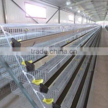 Layer Assemble Quail Cage With Assembling Tools For Sale photo-5