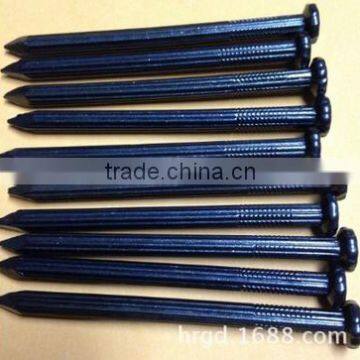 Top Quality Concrete Steel Nails /good Quality