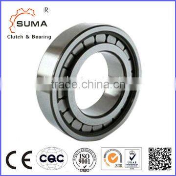 SL185004 - SL184980 Double Row Single Lock Ring Filled Cylindrical Roller Bearing photo-5
