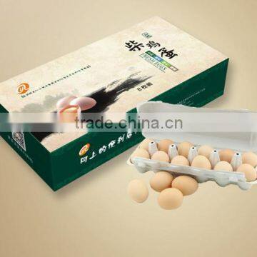 HT-D100 Automatic Egg Packing Machine From China photo-3