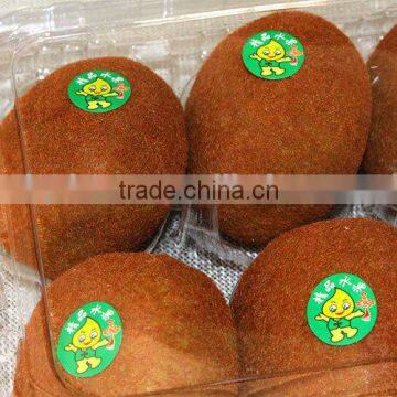 Plastic Blister Package Apple Tray/fruit Boxes photo-5