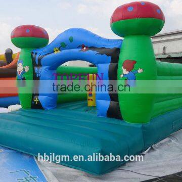 Kids Inflatable Castle,custom Made Inflatable Castle Hot Sale photo-5