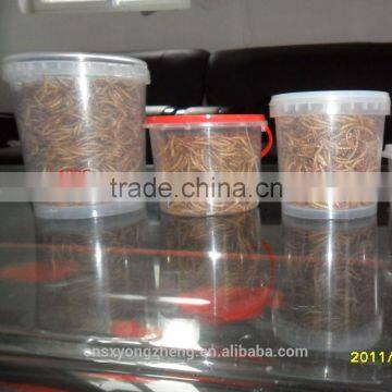 2.8 cm Dried Mealworm With FDA Certification photo-4