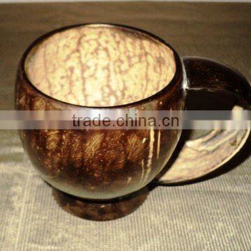 Coconut shell Mug