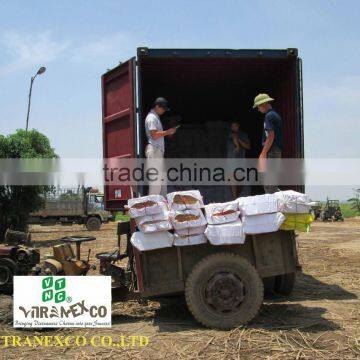 Bamboo Sticks for Agarbatti Incense photo-5