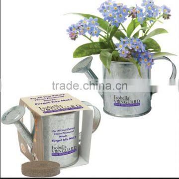 Wholesale Mini Kids Metal Watering Can photo-4