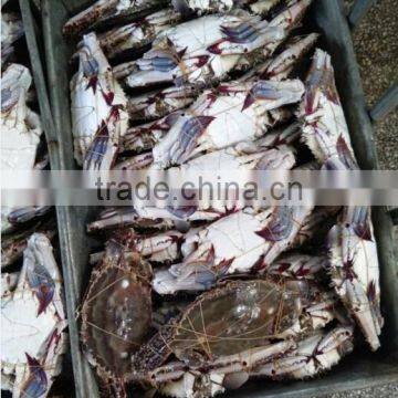 blue swimming crab wholesale frozen seafood