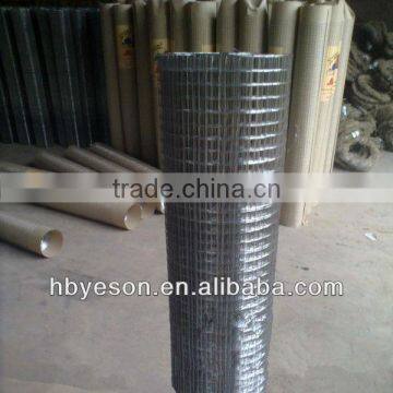 Galvanized Chicken netting/BWG14 Electro Galvanized welded wire mesh/galvanized animal fencing