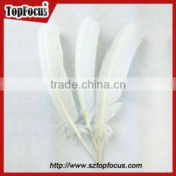 Dyed Bulk Imitation Wholesale Feathers for Carnival Costumes for Sale photo-3