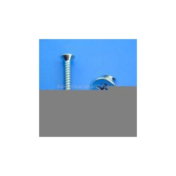Sell CSK Head Self-Tapping Screw