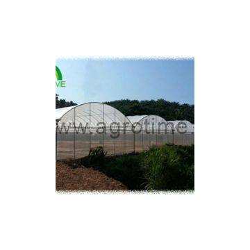 Multi Span Plastic Greenhouse