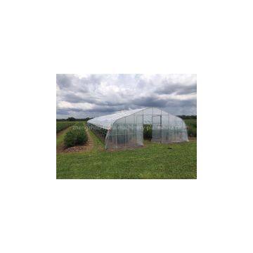 Low Cost Greenhouse of High Quality photo-3
