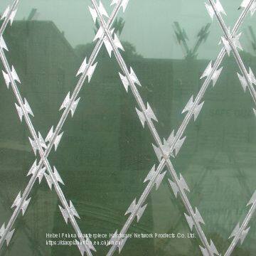 Blade Gill Net/Diameter 550mm BTO-28/Barbed Wire Welding Mesh photo-4