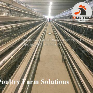 90 Birds of A Type Layer Chicken Cage Equipment for Poultry Farm photo-5