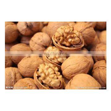 High Efficiency Stainless Walnut /pecan /almond Sheller Machine photo-3