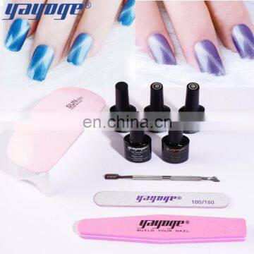 2020 Newest Trend Design Kit Cat Eye Gel Set Gel Polish With Base and Top Coat With OEM ODM photo-6