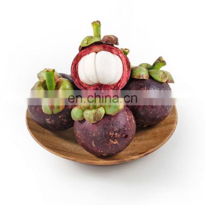 Natural Pure Alpha Mangostin Mangosteen Powder Extract