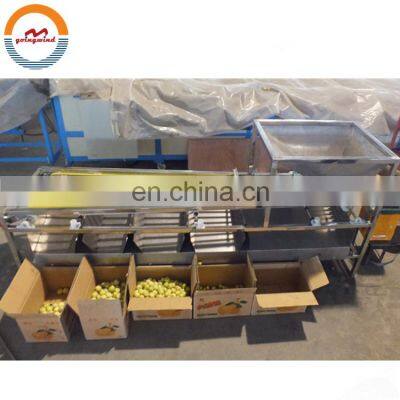 Automatic areca nut size sorting grading machine auto industrial betel nut sizing areca-nut sorter grader cheap price for sale