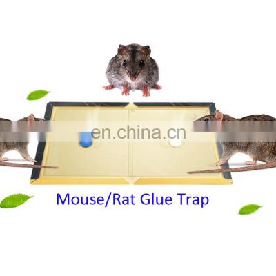 Sticky Paper Board Rat Mouse Glue Trap High Kill Rate