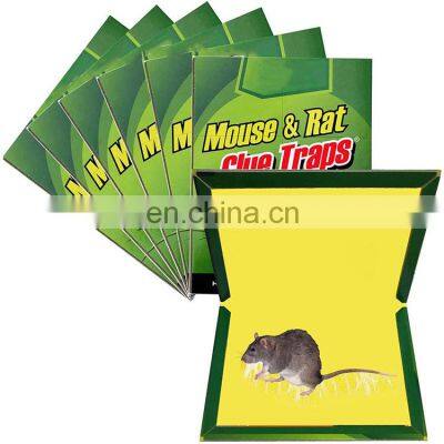 OEM Factory Rat Glue Trap Pest Control Reusable Catch Mouse Rat Glue Cardboard