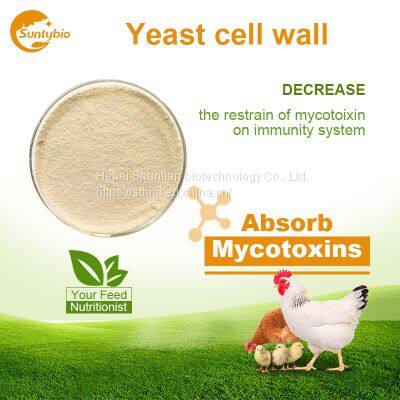Yeast Cell Wall photo-3