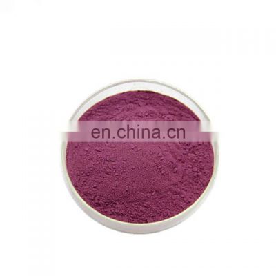 Factory Supply Natural blueberry extract powder anthocyanins