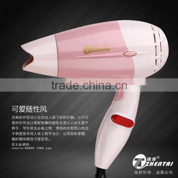 Hair Dryers for Dog Portable Hair Dryer 2015