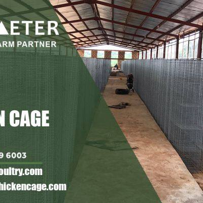 Layer Battery Cage System Poultry Farming Cage Solution for Ogun Nigeria photo-5