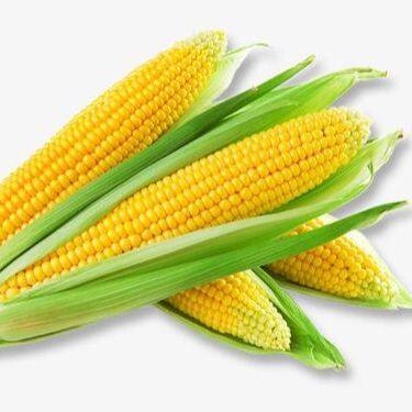 Maize Thresher Sweet Corn Threshing Machine Fresh Corn Sheller