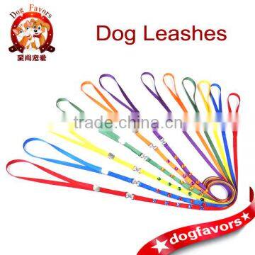 Dog Collars and Leashes Colorful Combo