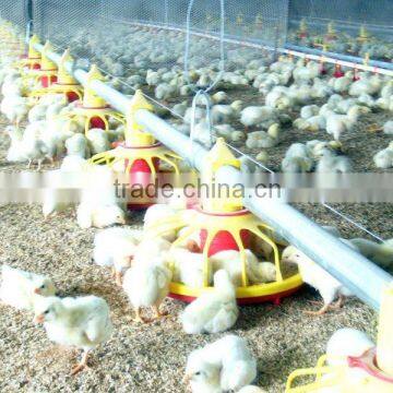 Ready Sale Automatic Chicken Feeder Equipment for Poultry and Broiler House photo-4