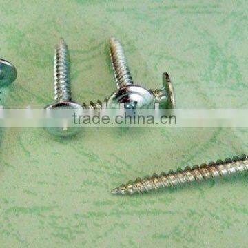 all kinds of stainless steel wood screw